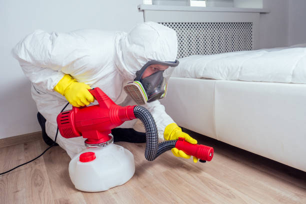Best Emergency Pest Control  in Mankato, MN