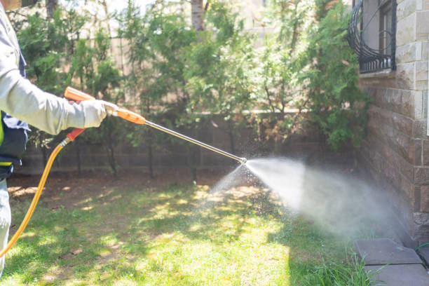Best Commercial Pest Control Services  in Mankato, MN