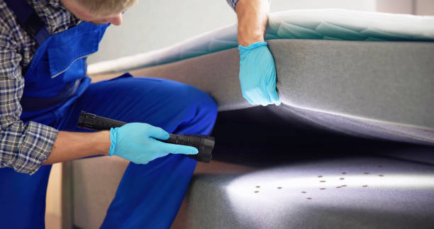 Best Affordable Pest Control Services  in Mankato, MN